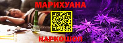 спайс Гай