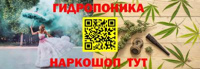 спайс Гай